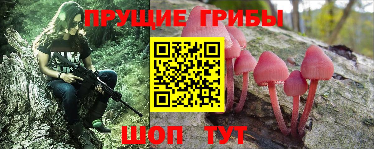 Псилоцибиновые грибы прущие грибы Знаменск