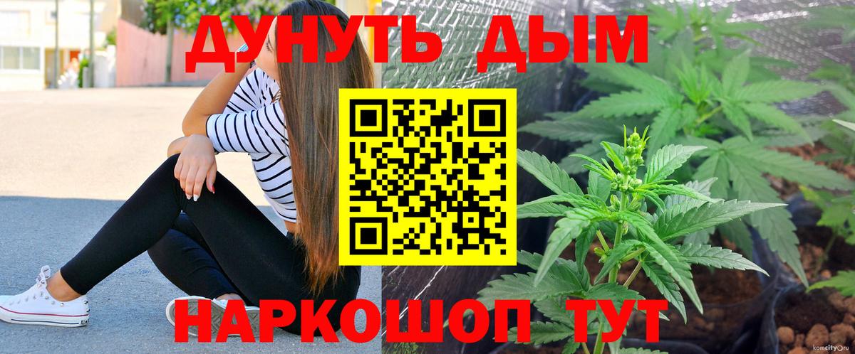 Каннабис VHQ  Вход с VPN  Знаменск  Каннабис планчик  Марихуана сатива 